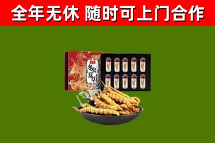 天镇县回收冬虫夏草价格